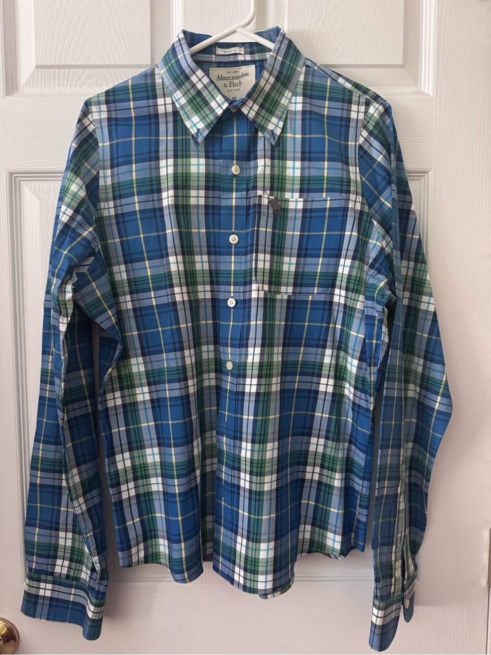 Abercrombie & Fitch Blue and Green Plaid Button-Down Shirt-Size XL